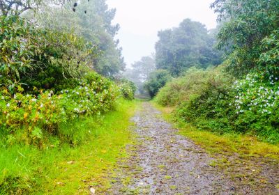 Baru Volcano National Park