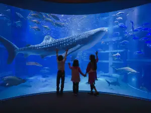 Osaka Aquarium Kaiyukan