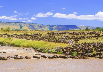 Mara River