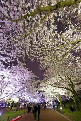 Hôtels Ishin à Fukuoka