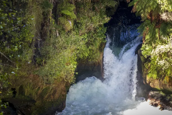 Rotorua Thermal Holiday Park