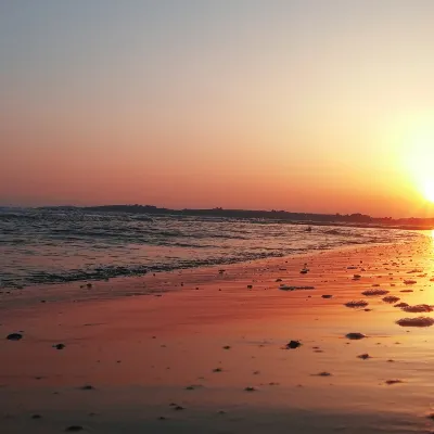 Hotel Ramah hewan peliharaan di Gili Trawangan