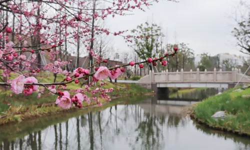 世博文化公園