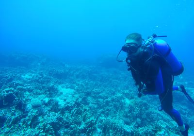 Octopus Diving Centre