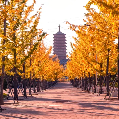 Hotels in Beijing With Bars