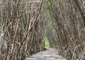 Tiket murah dari Pulau Pinang ke Kota Kinabalu