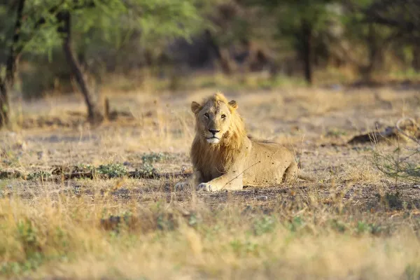 Cheap tickets from Harare to Polokwane