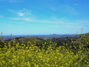 Top 4 Spring Outings in Los Angeles