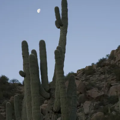 2-Star Hotels in Tucson