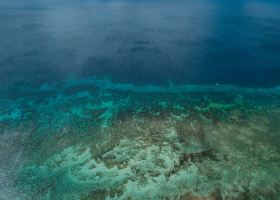 Air New Zealand flights to Cairns