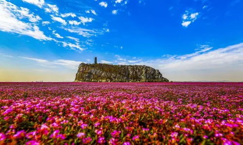 Shizhong Mountain
