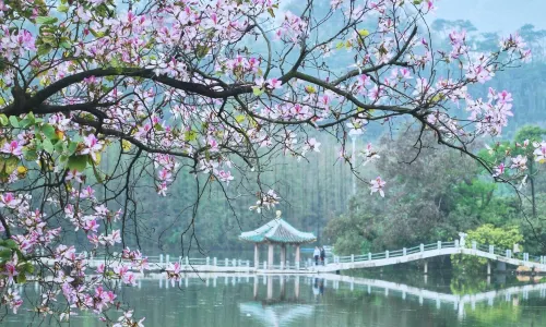 星湖旅遊景區