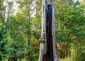 Alaska Airlines flights to Vancouver
