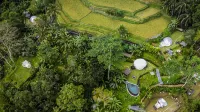 Bubble Hotel Bali Ubud - Adults Only