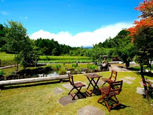 Tsutaya Tokinoyado Kazari