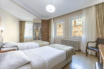 Elasophia Hotel Hotel dekat Museum/Gereja Hagia Sophia (Ayasofya)