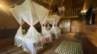 On Vacation Amazon Các khách sạn gần Parque Ecologico Mundo Amazonico