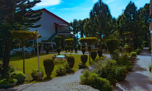 The Fern Surya Resort Kasauli Hills, Dharampur