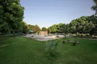 Camp Dilly