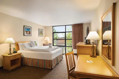 Staypineapple, University Inn, University District Seattle Hotels near Baby and Co
