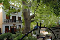 Gastronomy Hotel Kritsa