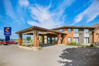 Comfort Inn Hotels near The Big Fiddle