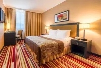 EXECUTIVE SUITES Hotels in Abu Dhabi
