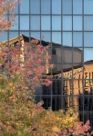 Mercure Auckland Queen Street Hotels near Mount Eden