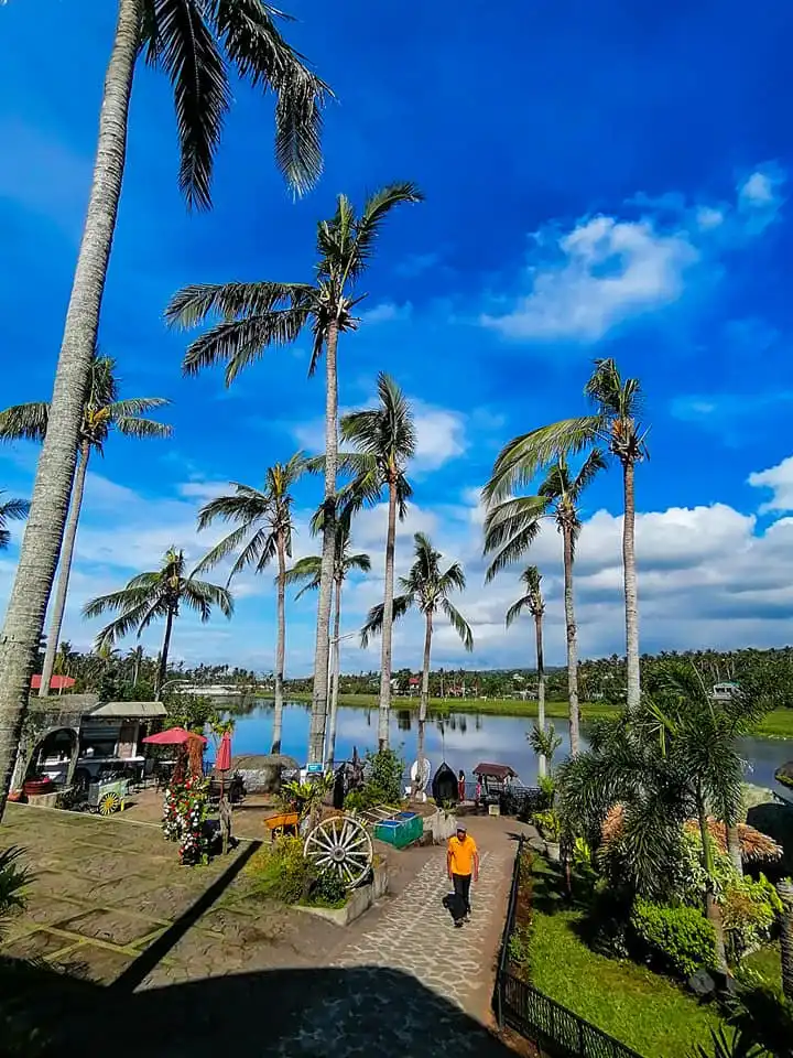 Hotels near Cagsawa Ruins