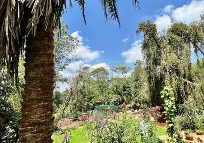 Limuru Town.