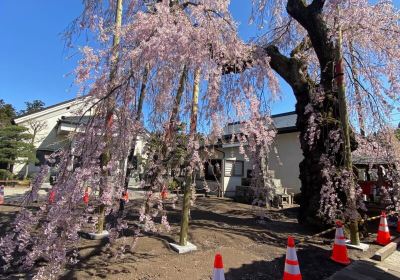 Myokanji Temple