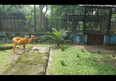 Port Harcourt