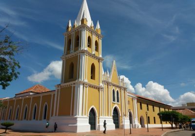 Falcón