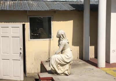 The Bureau of Ethnology