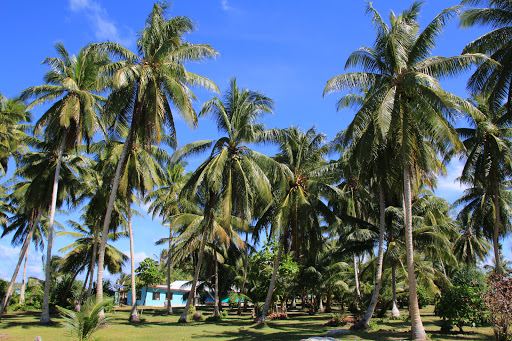 Nadi to Funafuti Atol flight