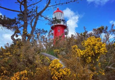 Oost-Vlieland