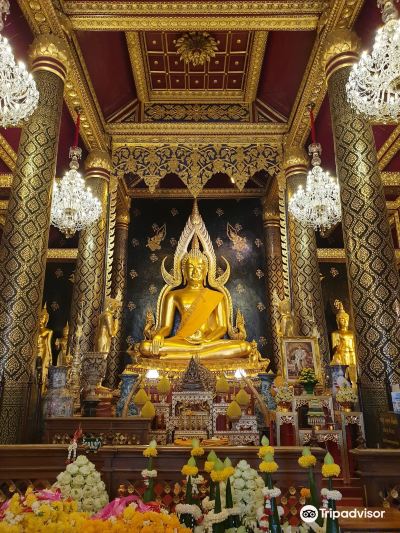ภูเก็ต-พิษณุโลก