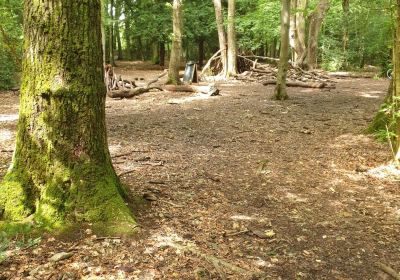National Trust - Leigh Woods