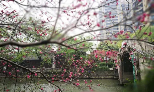 The Beijing-Hangzhou Grand Canal (Hangzhou Section)