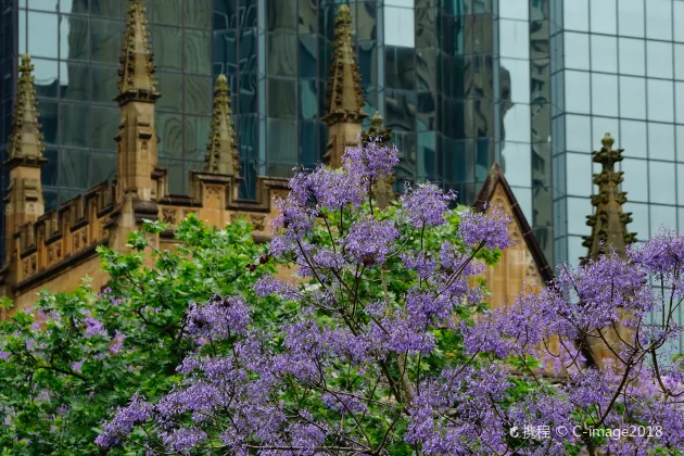 Hotel Curio Collection by Hilton di Sydney