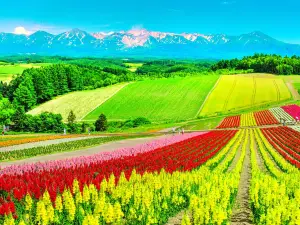Panoramic Flower Gardens Shikisai-no-oka