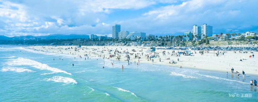 Santa Monica State Beach