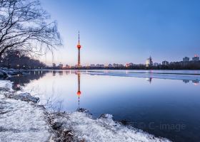 Flights from Beijing to New York