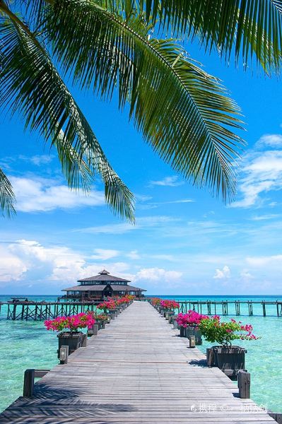 Vé máy bay TP. Hồ Chí Minh Sandakan