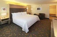 Holiday Inn Ciudad Juarez Hotels near Bazar Cultural  Monu