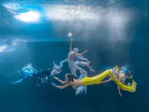 Grandview Aquarium
