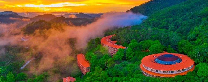 Yearning Tea Plantation Tourist Attraction