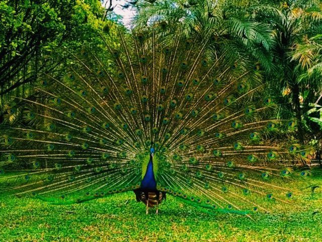 Zimalin Zoo: Rare Species and Wildlife Paradise