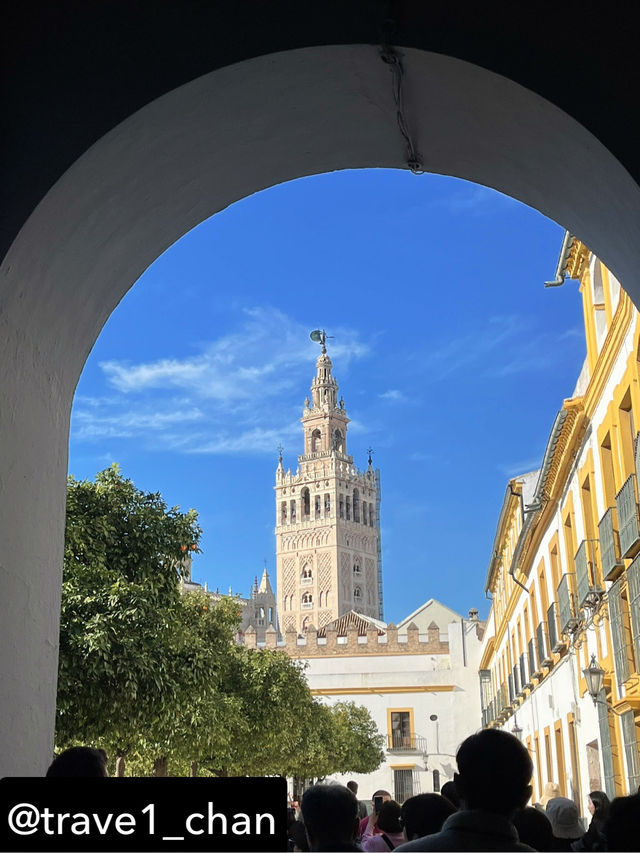 【スペイン🇪🇸セビーリャ、セビリア】オレンジと青空と歴史の美しさ