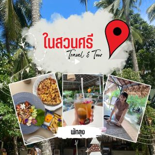 ค่าเฟในสวนศรี จ.พัทลุง